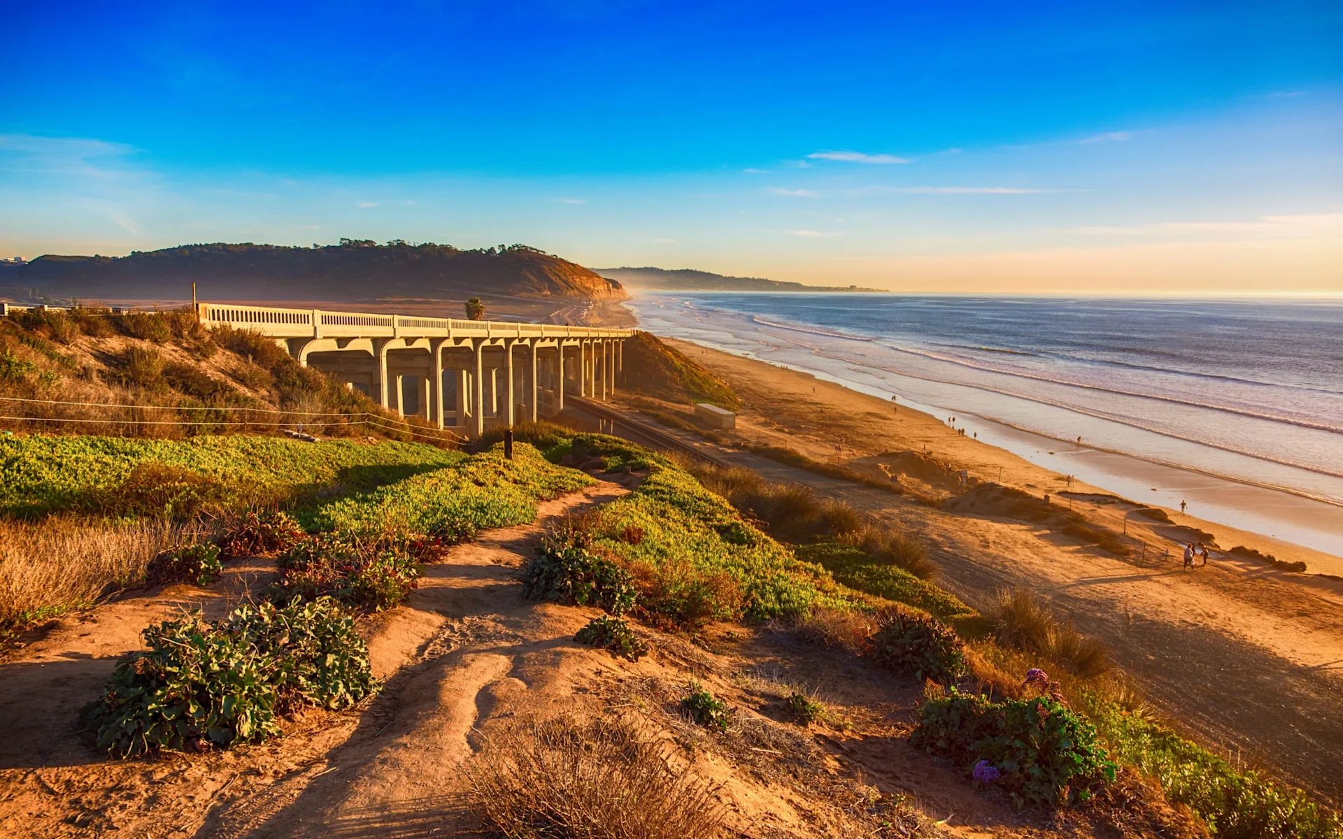 Torrey Pines bridge and coastline at golden hour