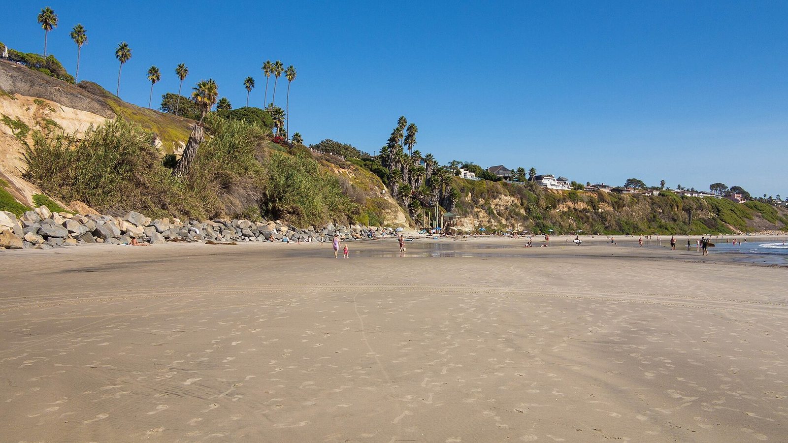 Swami's Beach in Encinitas, with palm-topped bluffs above the sand